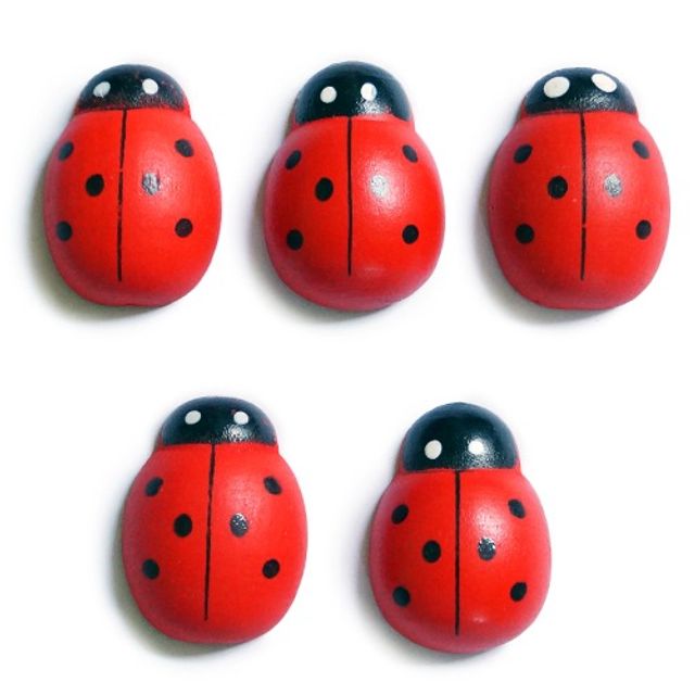 우드 무당벌레(빨강)특대  2.7cmx4cm 500개x1