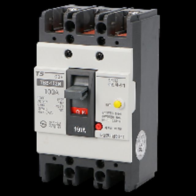 전기 산업용 누전차단기 TBE 102N 2P 100A 14kA 전