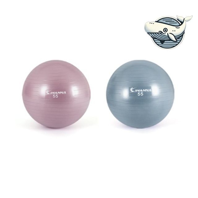 임산부 스트레칭 짐볼 55cm 홈트 운동 요가