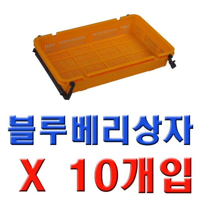 CP 550 X 355 X 100 size 블루베리상자 10개 1묶음