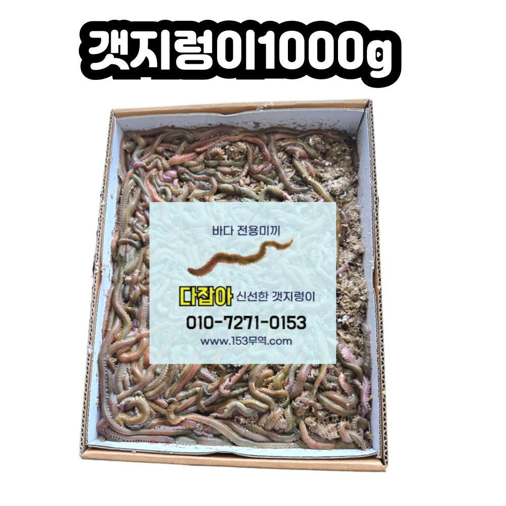 생물 갯지렁이 청개비 1000g 낚시미끼