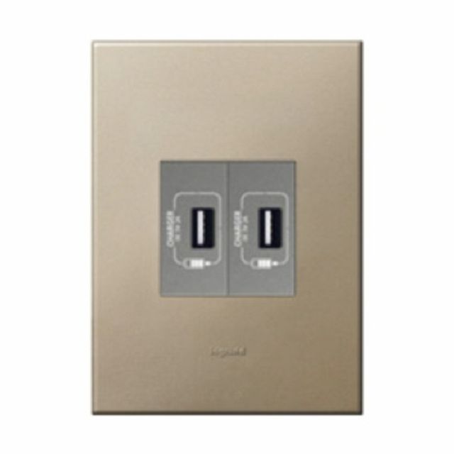 아테오 샴페인 USB 2구 르그랑