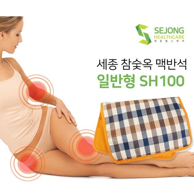 BN 세종 참숯옥 맥반석 찜질기 SH-100 일반형