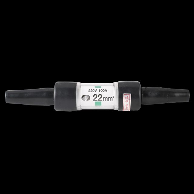 전선휴즈 22SQ-100A