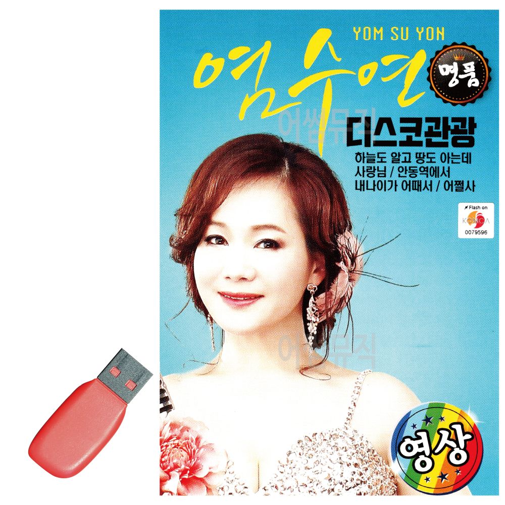 염수연 디스코 관광 영상 USB 노래