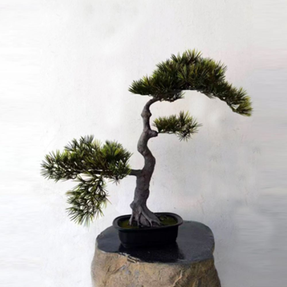 6P 흑송 50cm 조화나무