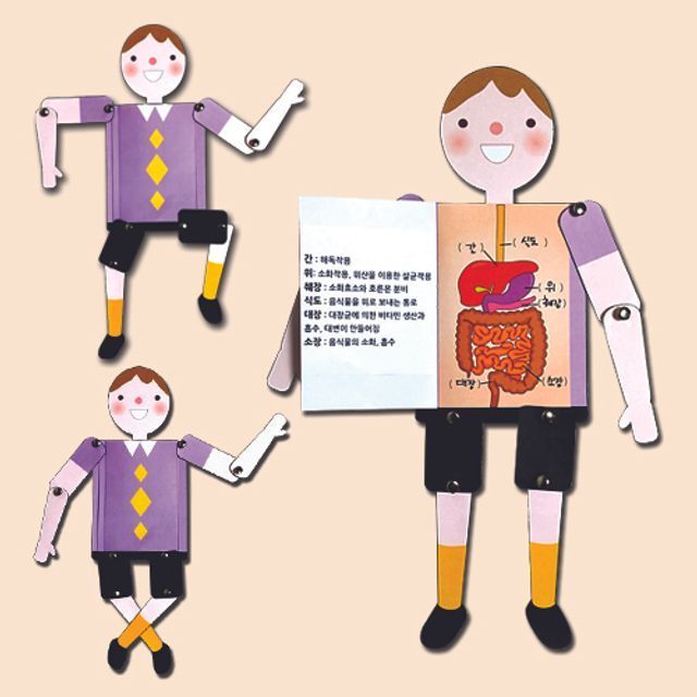 만들기우리몸 신체장기 인형만들기 10매