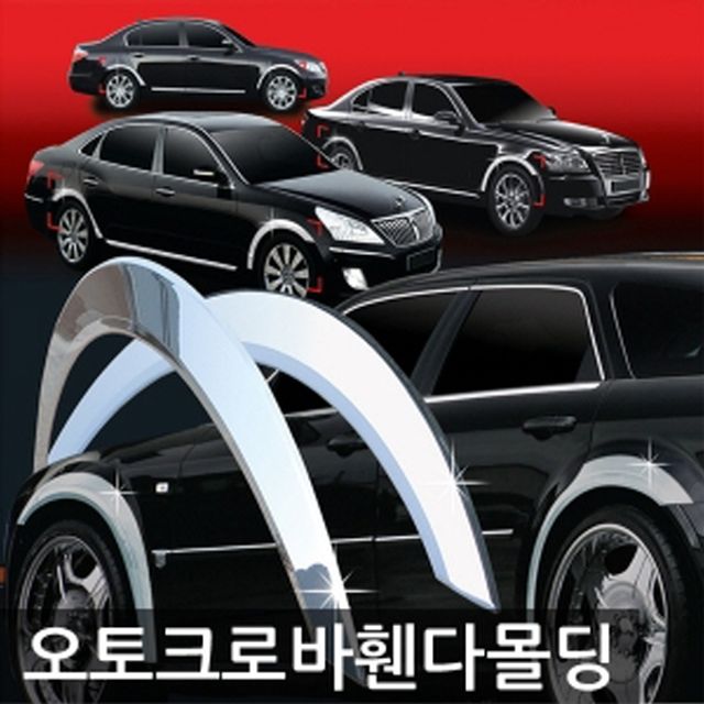 휀다몰딩 그랜드카니발 2008~2013 4P A350