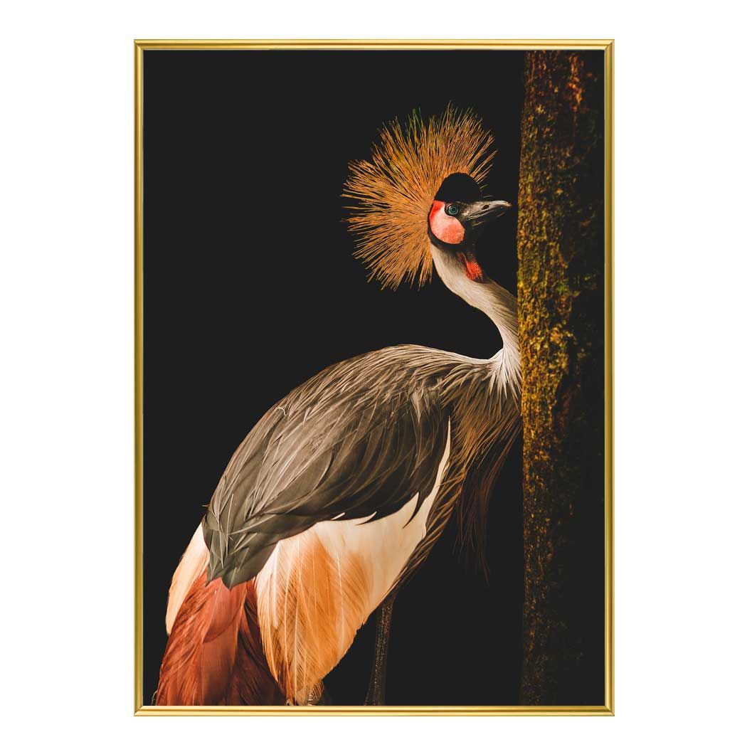 심플 인테리어액자 Grey Crowned Crane A2사이즈