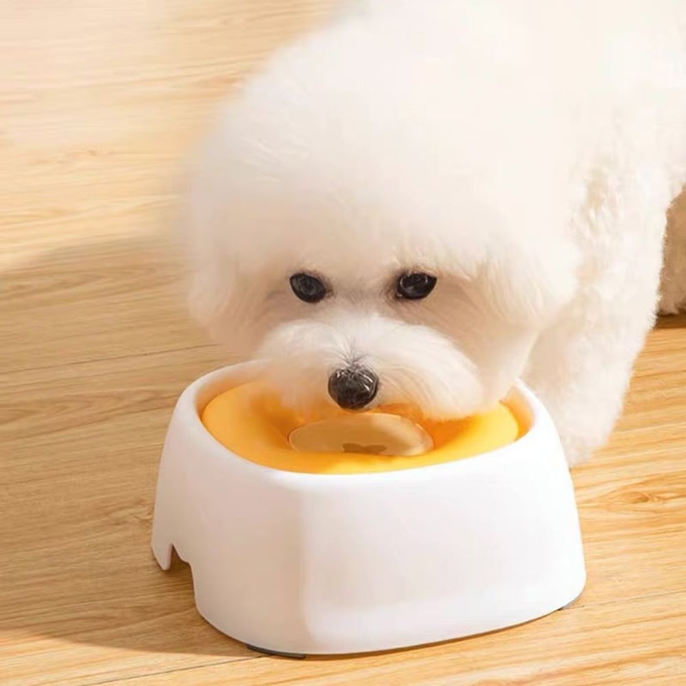 고양이 반려동물 물그릇 기본 강아지 데이 식기