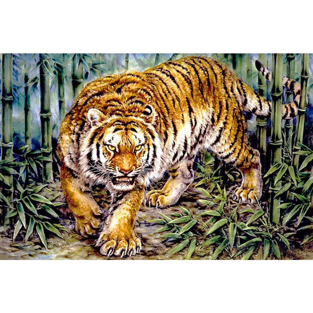 호시탐탐 (캔버스) 보석십자수 40x50