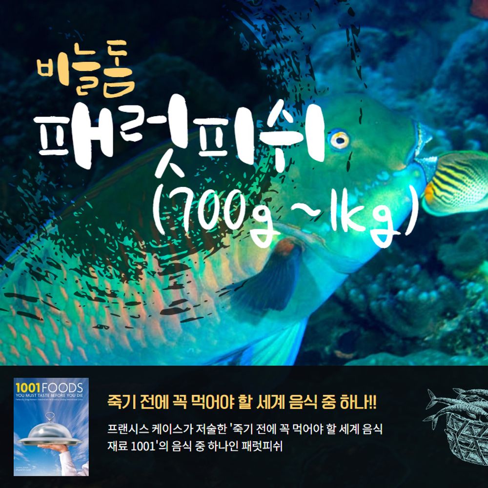 자연산 비늘돔 패럿피쉬 1마리(700-1kg) 손질냉동생선