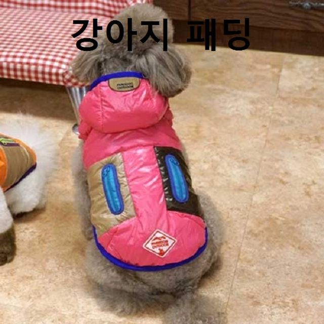 애견 겨울옷 애견패딩 강아지패딩 핑크 자켓 재킷