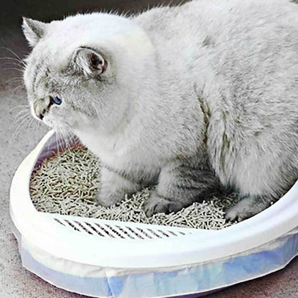 고양이 배변 봉투 애묘 화장실 청소 냥이 용품 똥