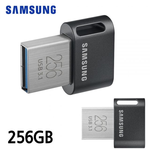 삼성전자 FIT Plus USB 3.1 Flash Drive (MUF-AB) 256