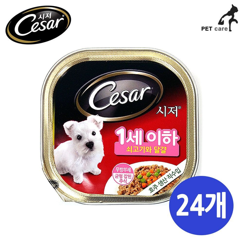 시저 1세이하 퍼피 쇠고기와 달걀 1박스 24개