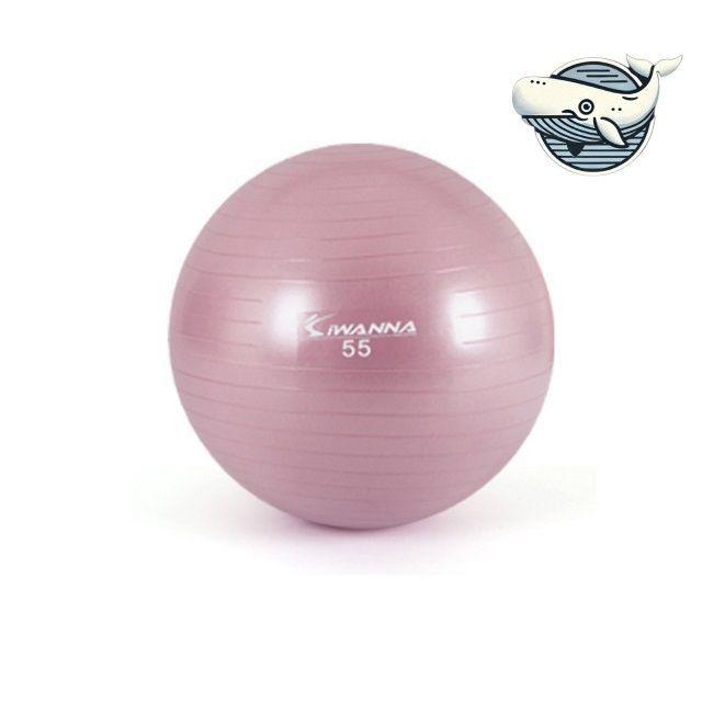 홈트용 필라테스 짐볼 55cm 풍선 운동