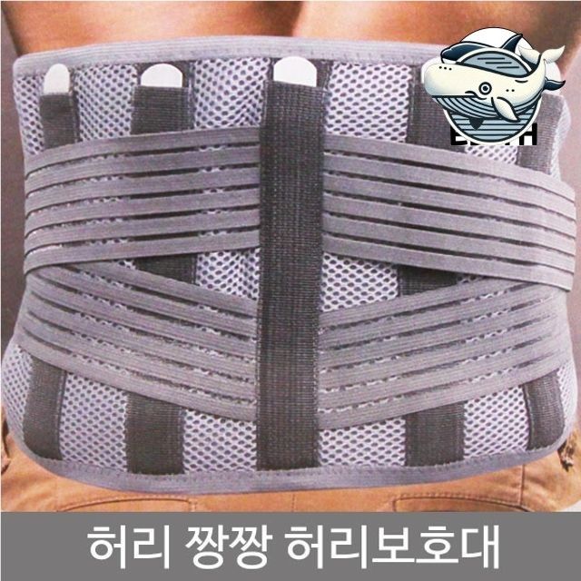 허리세움 허리지지대 허리보호대 후면지지 건강한