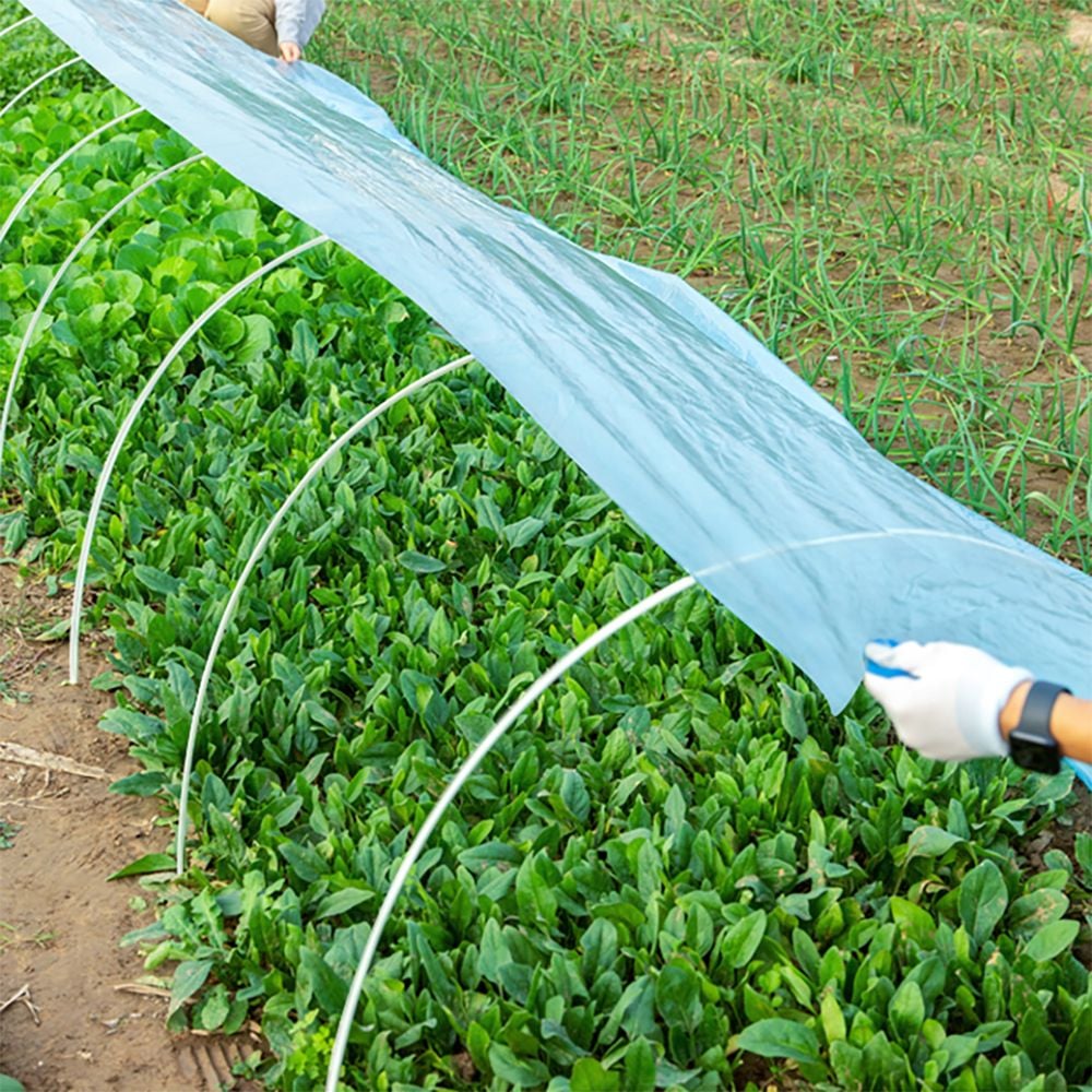 비닐하우스비닐 자재 도시농업 농자재 소형2m x 10m