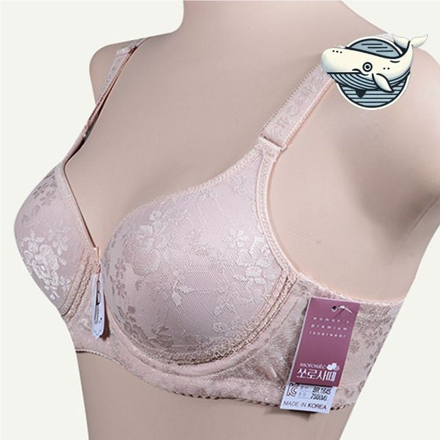 은은한 레이스 후크 와이어 브라 부드러운