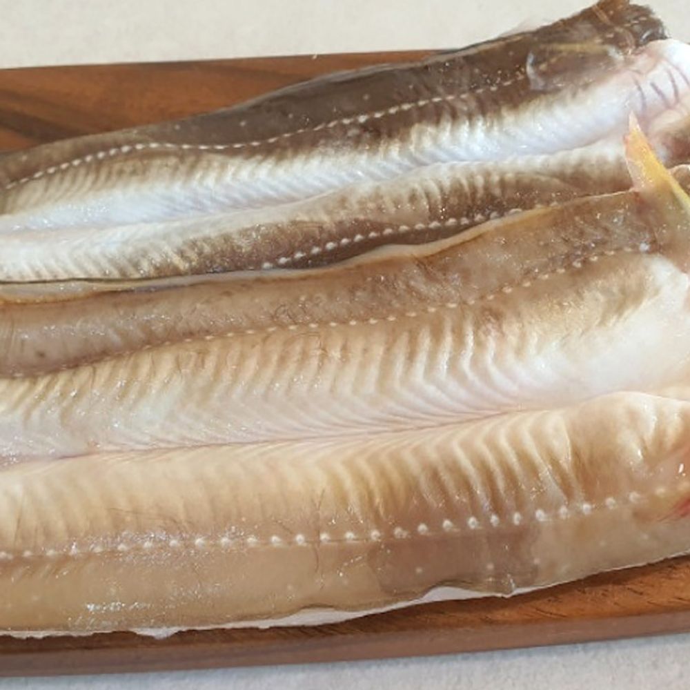 통영 손질 바다장어 특대 2kg 소스포함 구이 붕장어