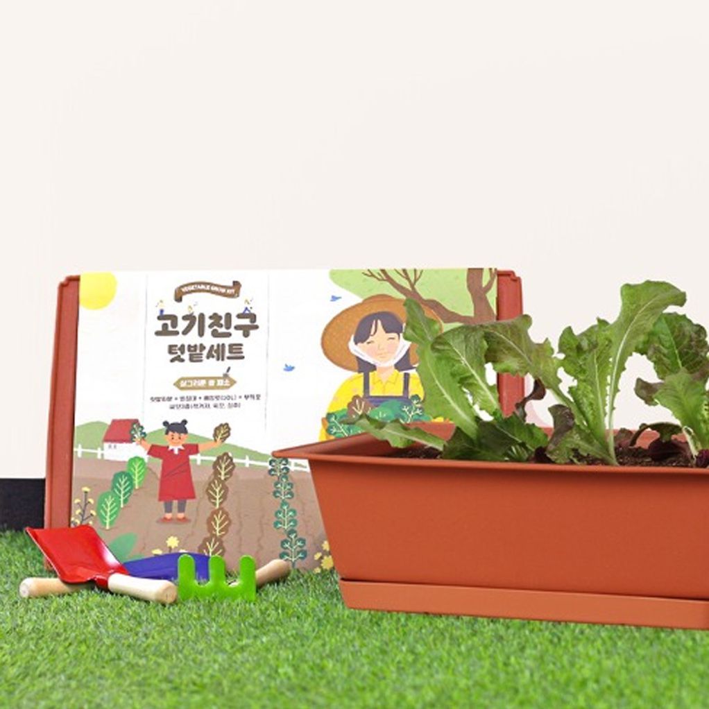 적겨자 상추 쌈채소 씨앗 흙 화분 베란다텃밭 세트