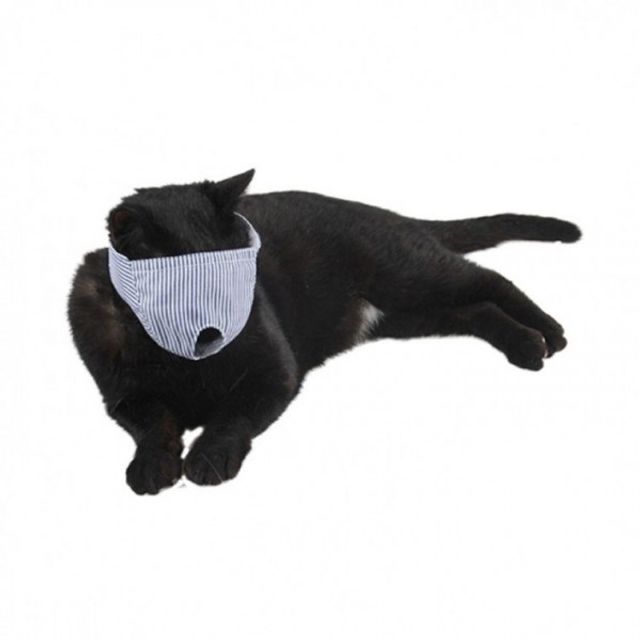 마스크 고양이 안대 블루 미용 관리 눈가리개