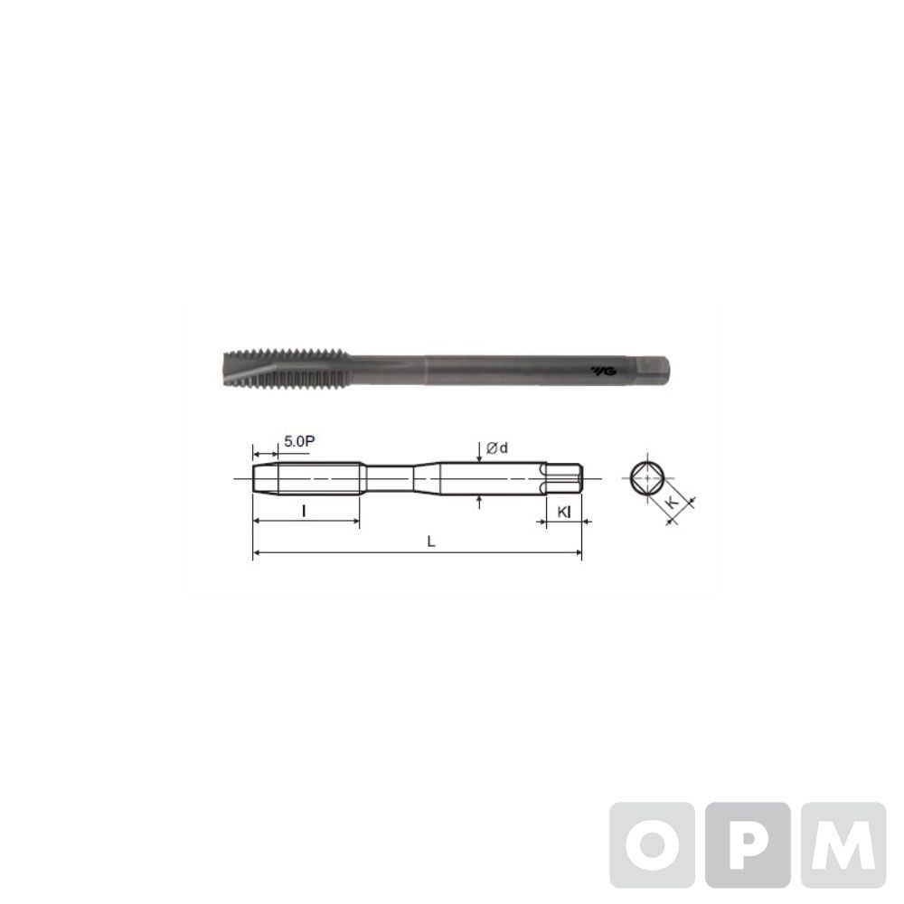 롱포인트탭(호모) M12X1.75-100L (T1818504)