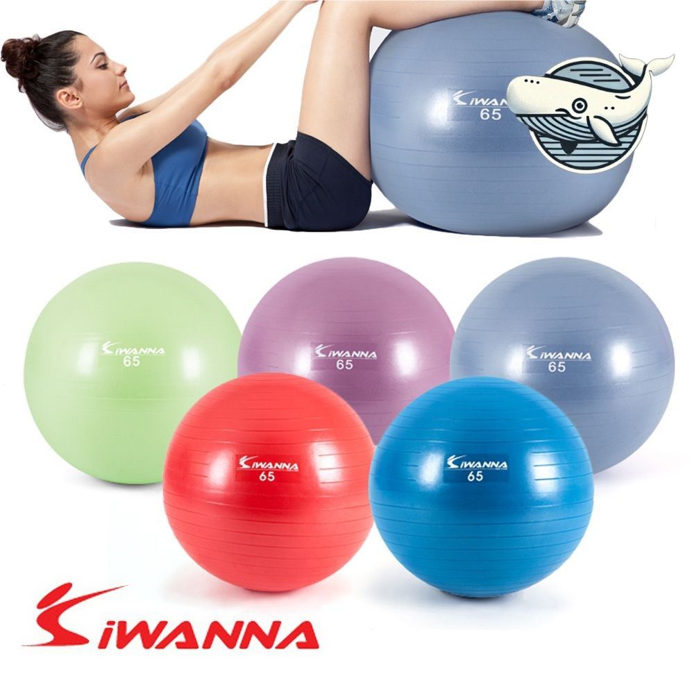 운동용 회전짐볼 65cm 펌프포함 임의색상