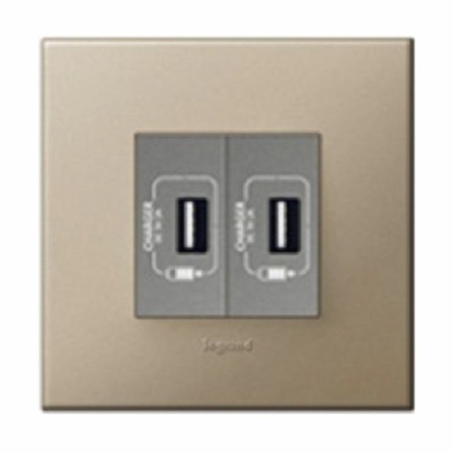 아테오 유럽형 샴페인 USB 2구(2M) 르그랑