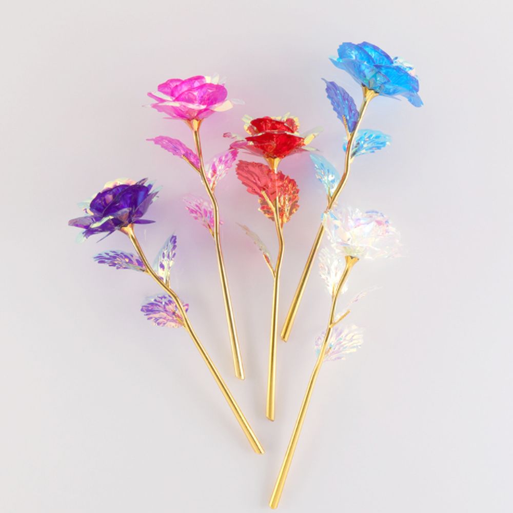 [다모아몰]홀로그램 장미 카네이션 꽃 어버이날 선물 로즈데이