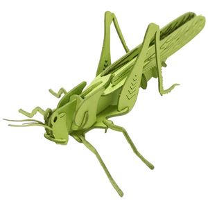 아이티알,NE 메뚜기 X3개 DIY 3D 입체 종이 퍼즐 조립 모형 만들기