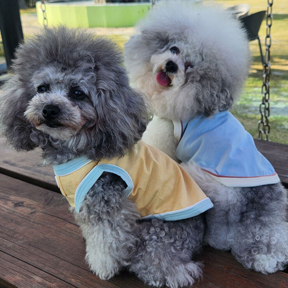 강아지 곰돌이 나시티 스타일 오가닉 1P 추천 봄가을