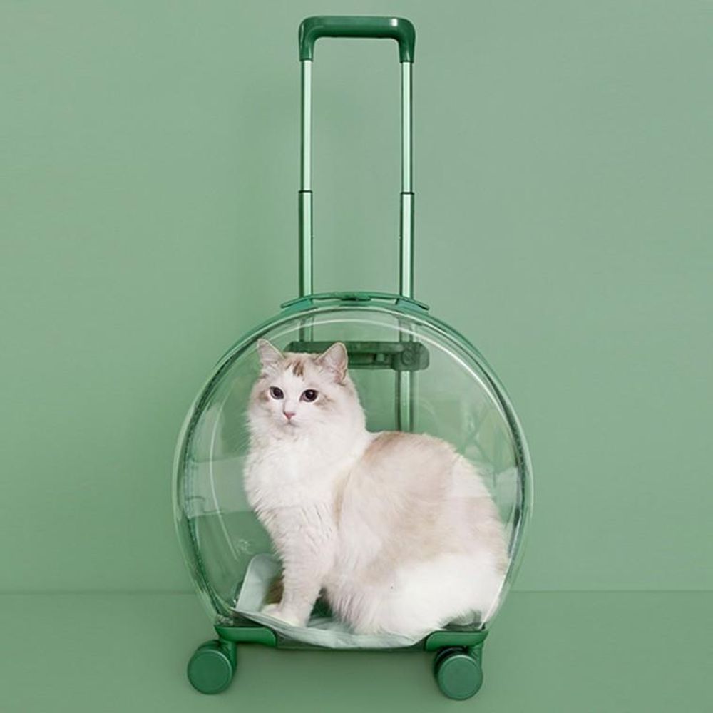 강아지 고양이 캐리어 이동 가방 애완동물 이동장 가