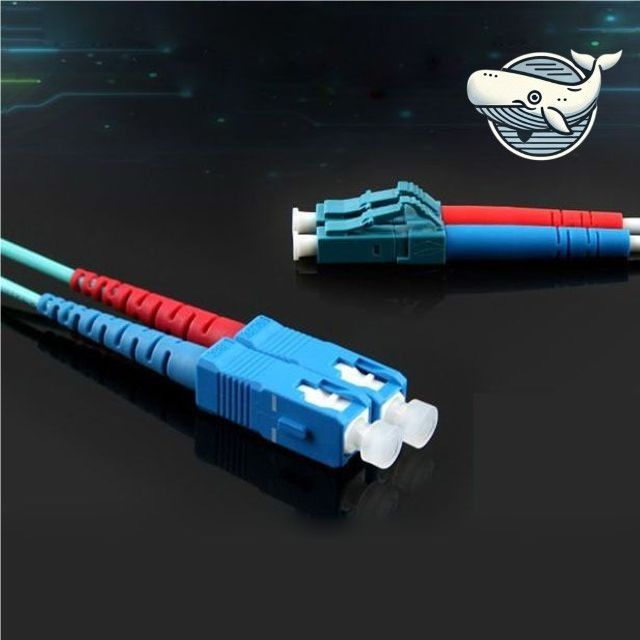 고속 데이터전송 광패치코드 10G 40M