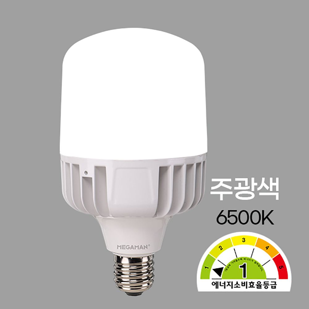 MEGA LED T벌브 E39베이스 60W