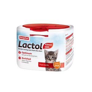 아이티알,NE 비어파 락톨(분유) 키튼 250g 어린 고양이사료 영양식