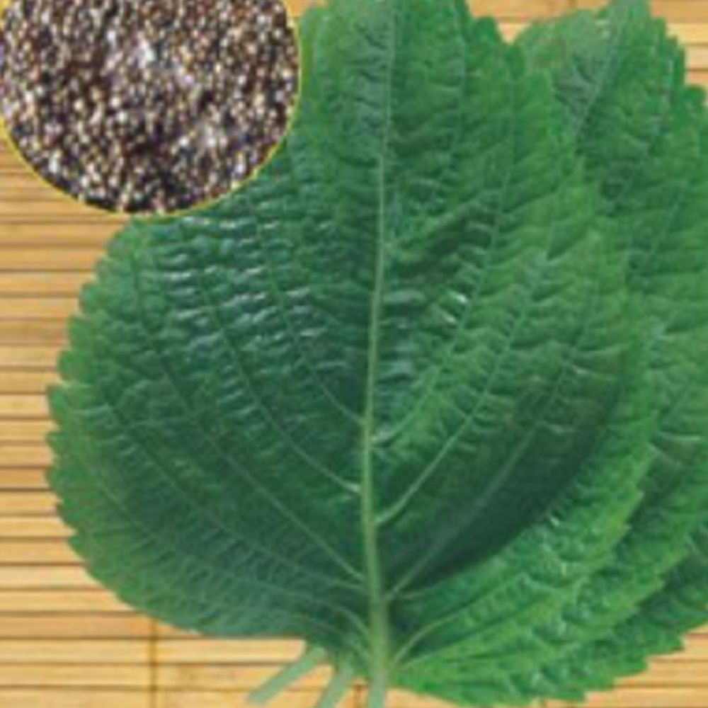 재래종 잎 들깨 야채 쌈 채소 품종 종자 씨앗 5000립