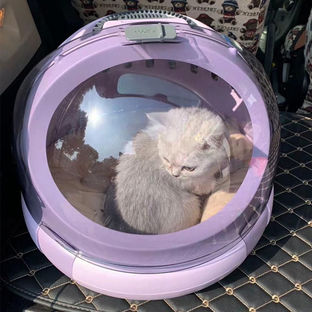강아지 고양이 트래블백 반려동물 이동가방
