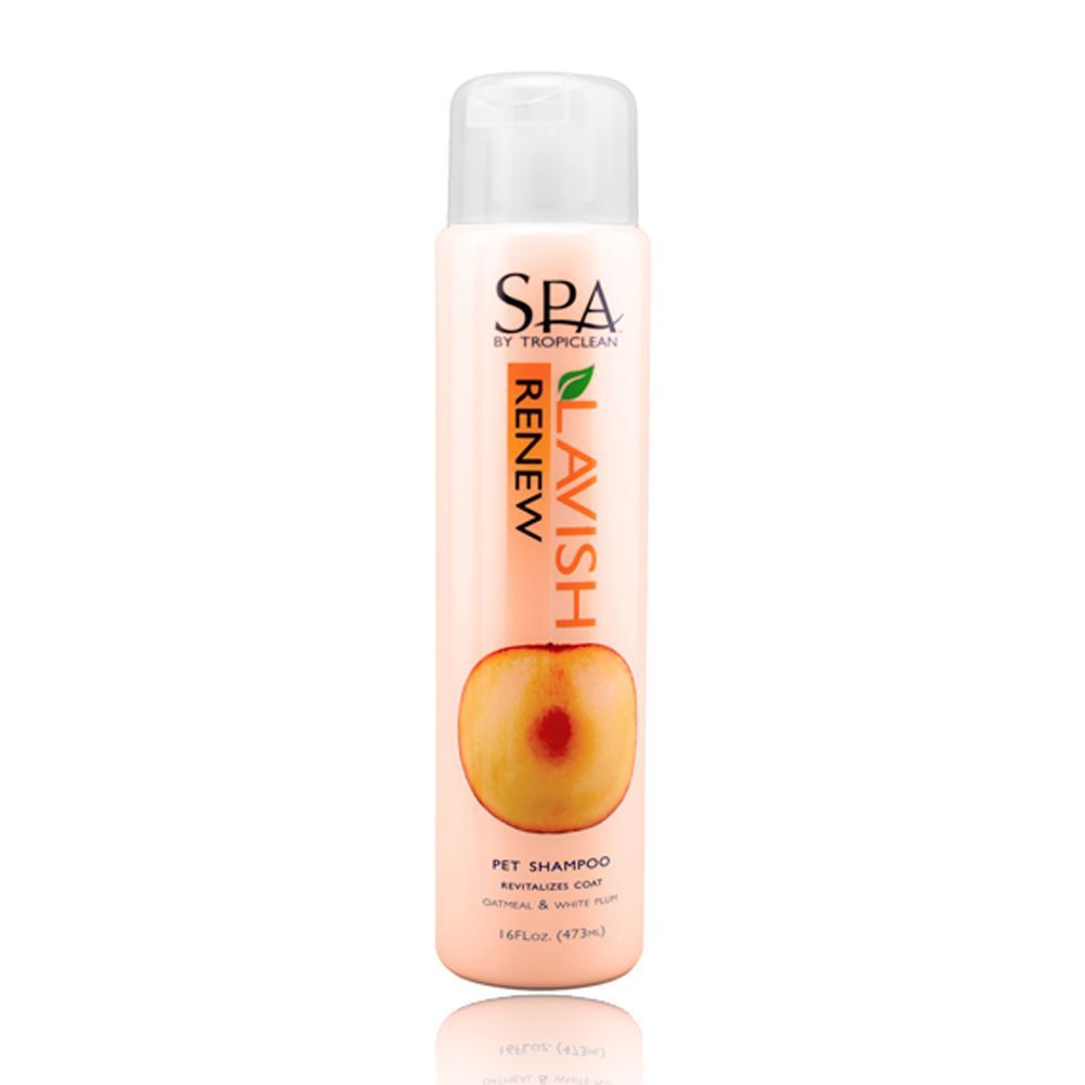 스파 리뉴샴푸 473ml 모질 16oz 강아지 샴푸