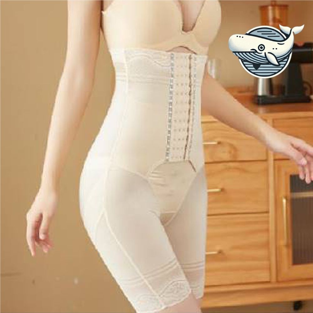 슬림핏 보정 속옷 올인원 뱃살 정리 허리