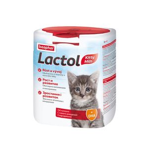 아이티알,NE 비어파 락톨(분유) 키튼 500g 어린 고양이사료 영양식