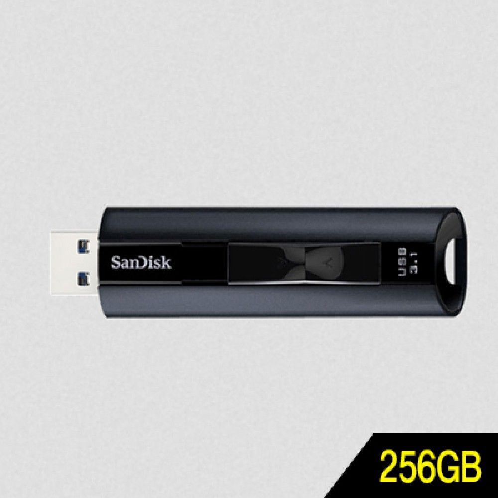 SanDisk샌디스크 SDCZ880 256GB USB3.1 메모리