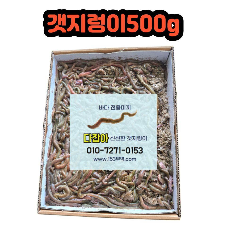 생물 갯지렁이 청개비 500g 낚시 미끼