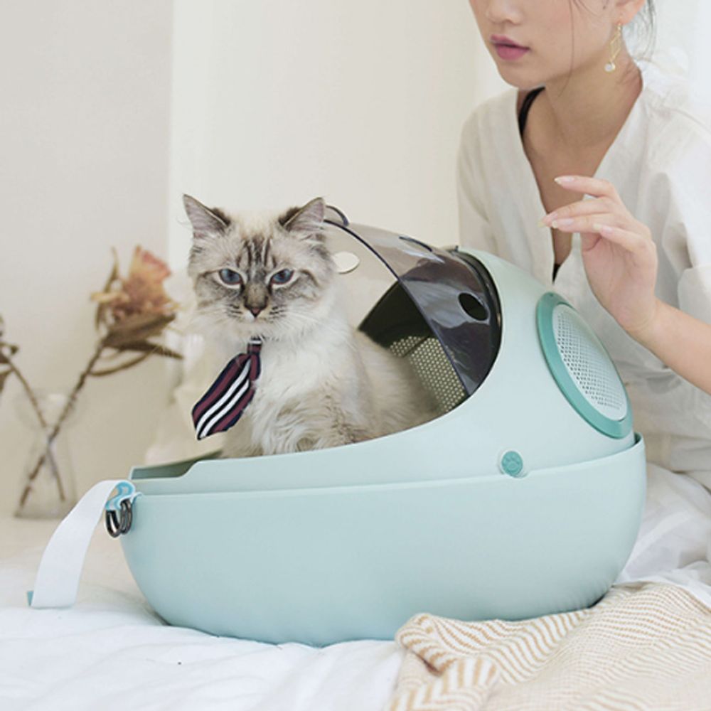 고양이 에그쉘 이동가방 민트 반려묘 우주선 이동장