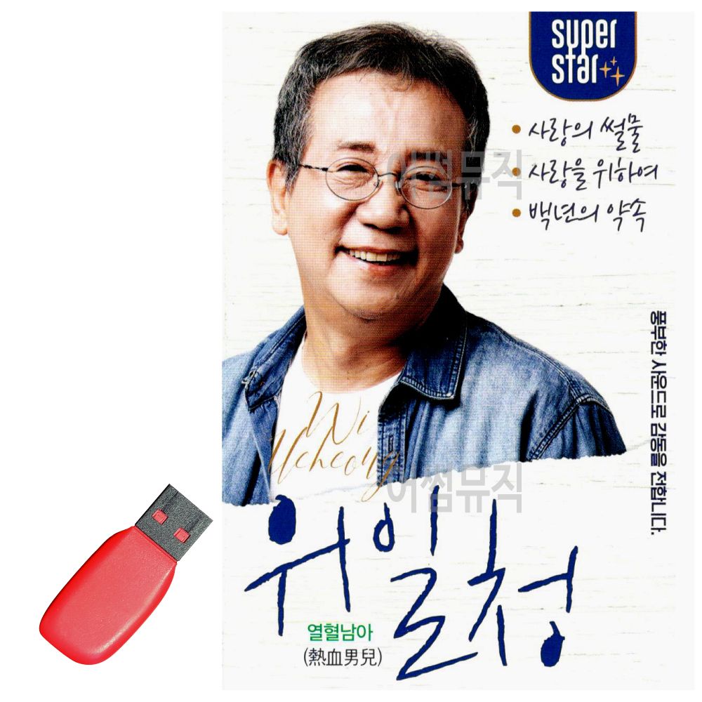 USB 노래칩 위일청 열혈남아