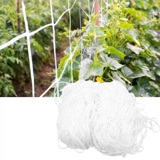 식물촉진성장 메쉬홀적용 식물엉킴방지 PLANT 식물가