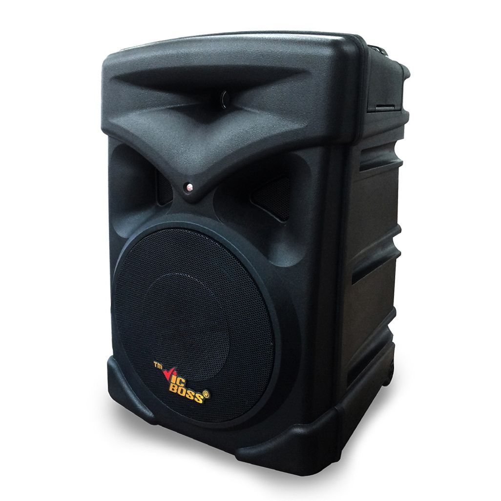 버스킹 교회 포터블 앰프 이동식 스피커 500W 통기타