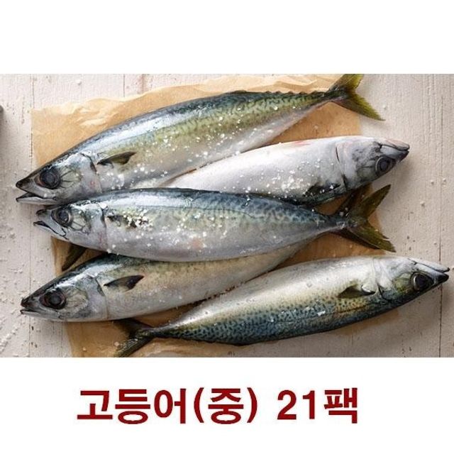 명절선물 설 순살 물 호 제주 바다 명절 고등어