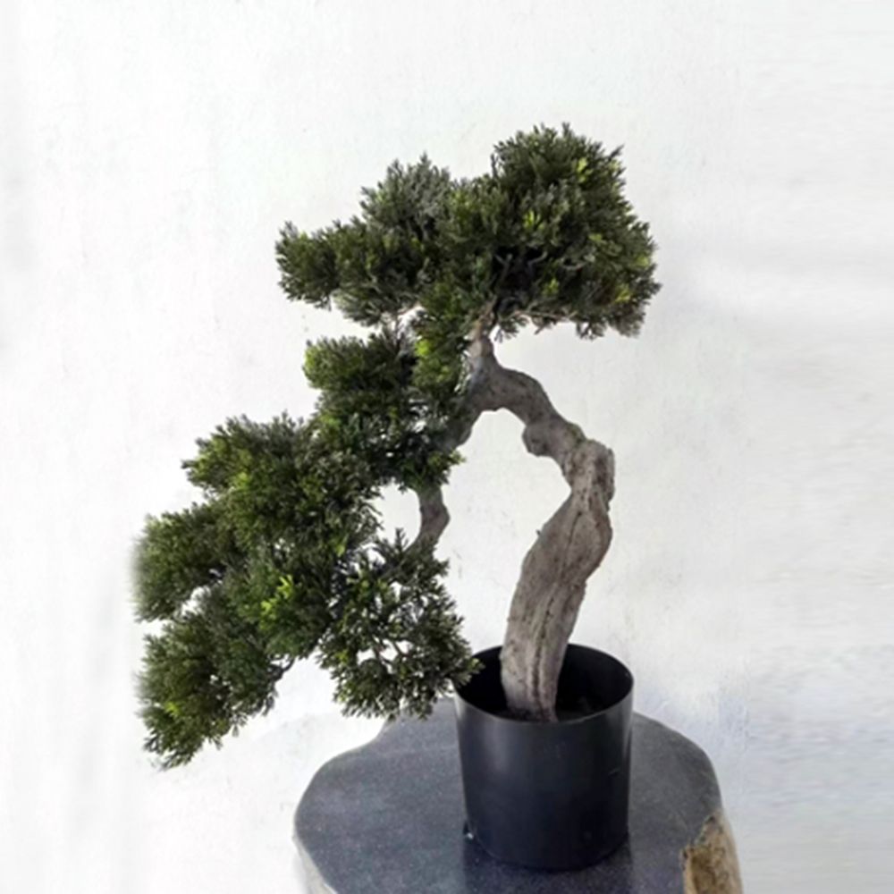 6P 50cm 조화나무 백송